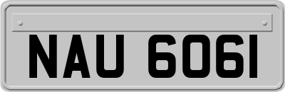 NAU6061