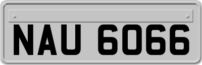 NAU6066