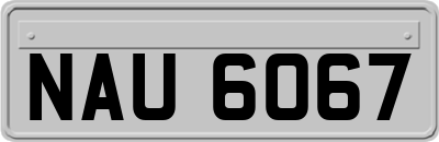 NAU6067