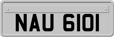 NAU6101