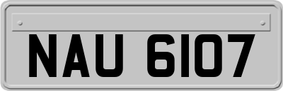 NAU6107