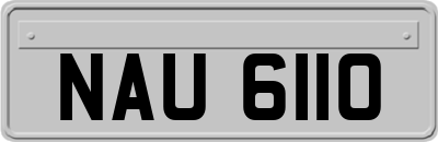 NAU6110