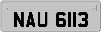 NAU6113