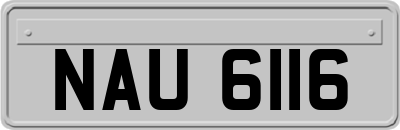 NAU6116