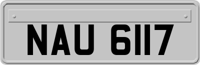 NAU6117