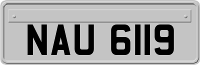 NAU6119