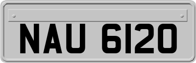 NAU6120