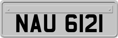 NAU6121