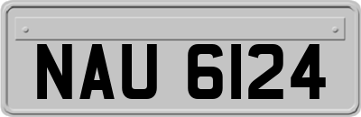 NAU6124