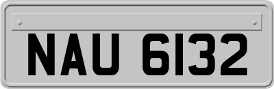 NAU6132