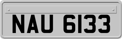 NAU6133