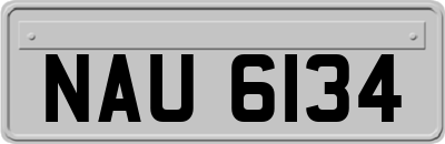 NAU6134