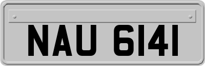 NAU6141