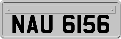 NAU6156