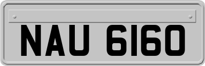 NAU6160