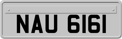 NAU6161