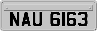 NAU6163