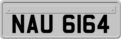 NAU6164