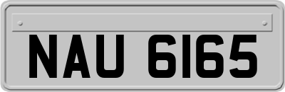 NAU6165