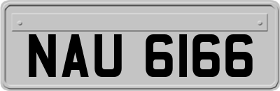 NAU6166