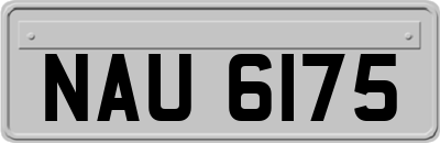 NAU6175