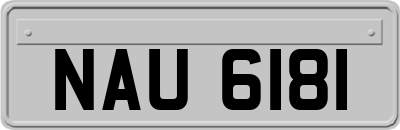 NAU6181