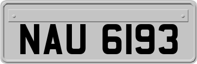 NAU6193