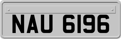 NAU6196