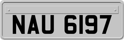 NAU6197