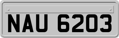 NAU6203