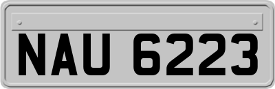 NAU6223