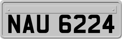 NAU6224