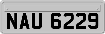 NAU6229