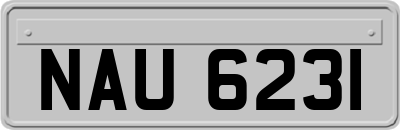 NAU6231