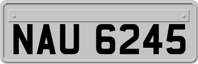 NAU6245