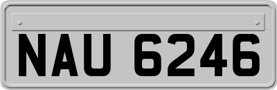 NAU6246