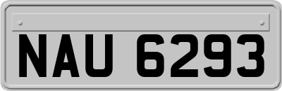 NAU6293