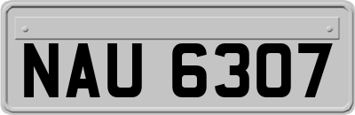 NAU6307