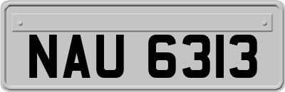 NAU6313