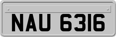 NAU6316