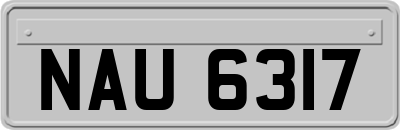 NAU6317