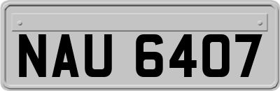 NAU6407