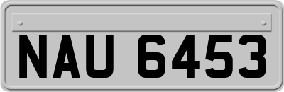 NAU6453