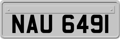 NAU6491