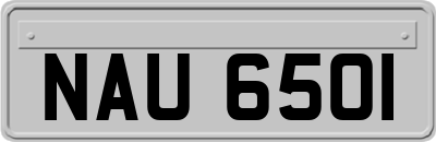 NAU6501