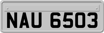 NAU6503