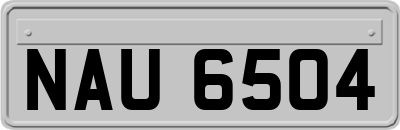 NAU6504