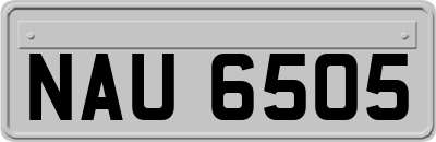 NAU6505