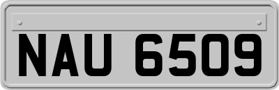 NAU6509