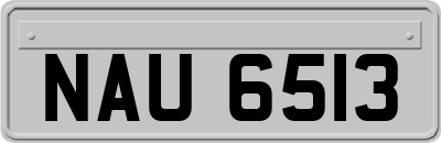 NAU6513